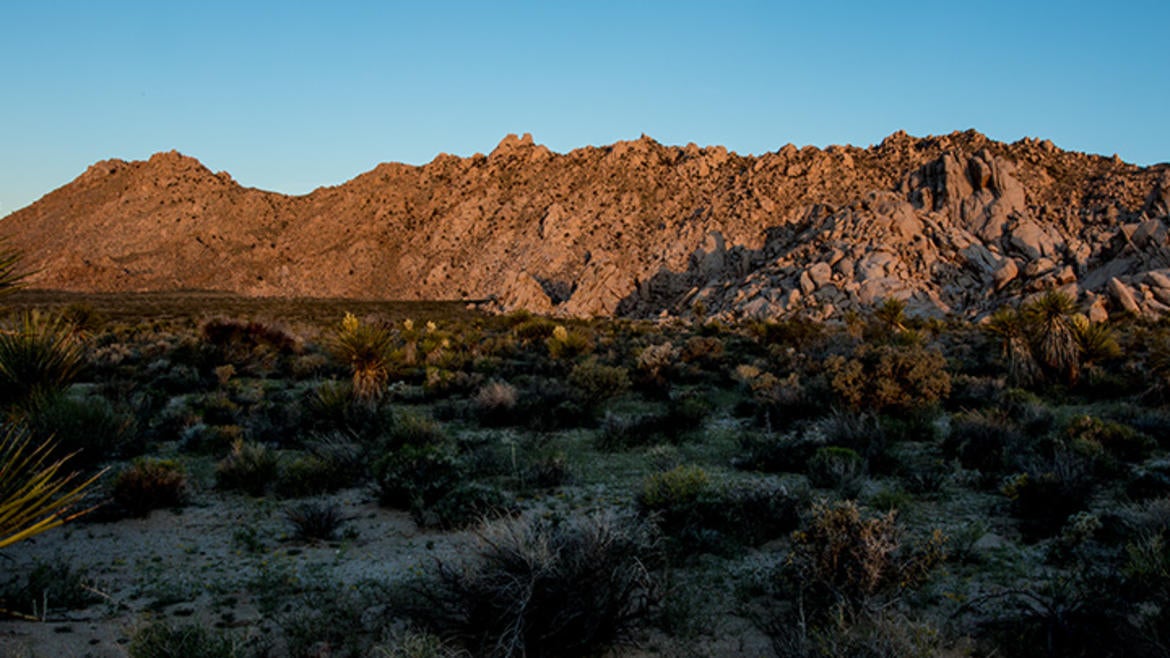 Sweeney Granite Mountains Desert Research Center / Photo by Lobsang Wangdu Sweeney Granite Mountains Desert Research Center / Photo by Lobsang Wangdu