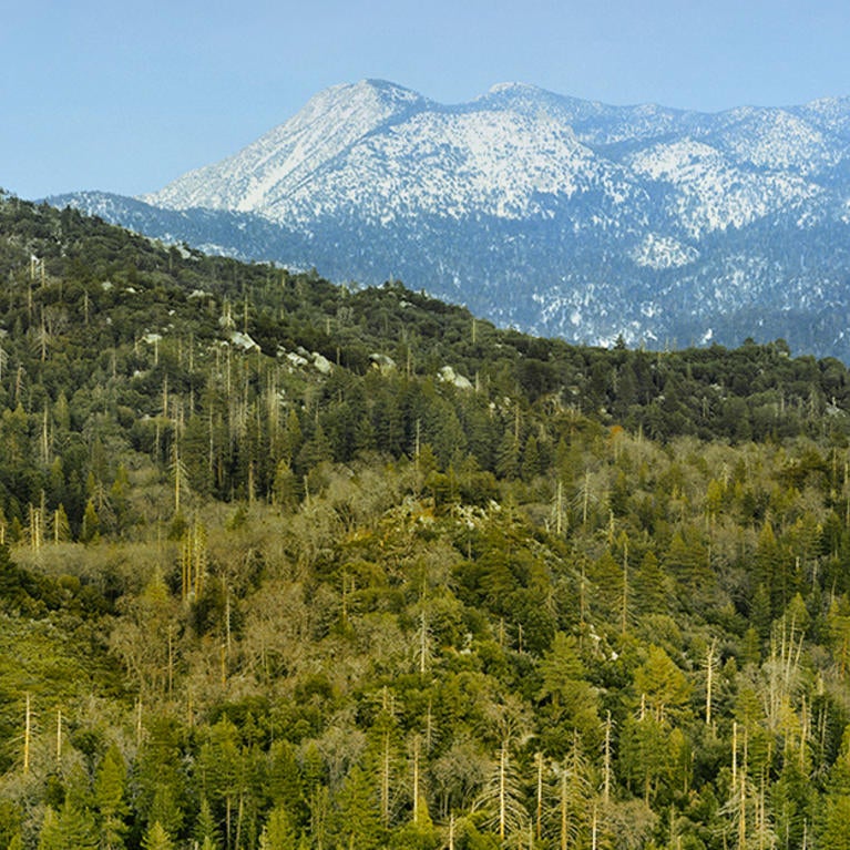 James San Jacinto Mountain Reserve (c) Mark Chappell