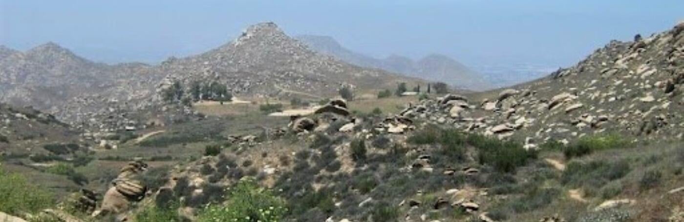 View of Box Springs
