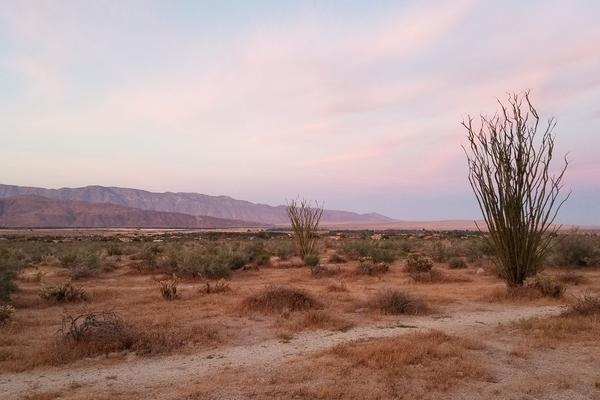 Anza-Borrego Desert State Park