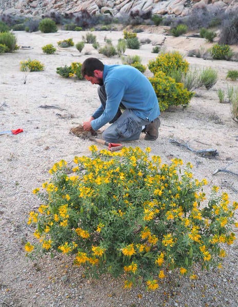 Collecting Granites