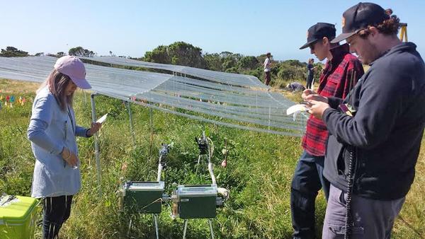 Michael Loik's Plant Physiological Ecology class