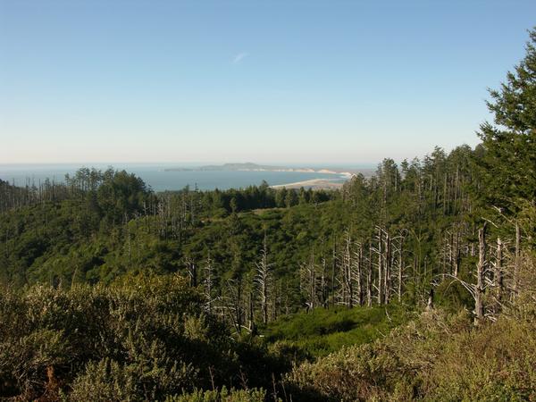 Point Reyes National Seashore