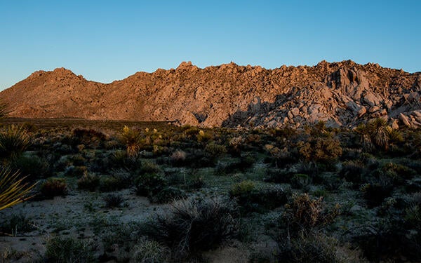 Sweeney Granite Mountains Desert Research Center / Photo by Lobsang Wangdu