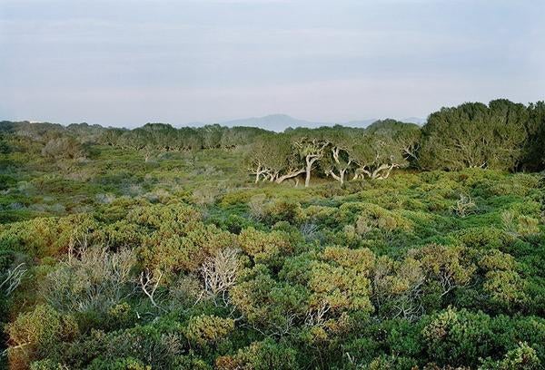 Fort Ord Natural Reserve