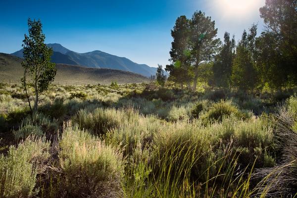 Valentine Eastern Sierra Reserves