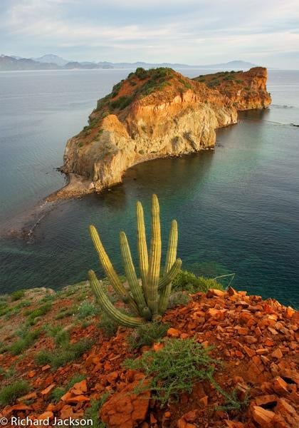 The islands of the Gulf of California