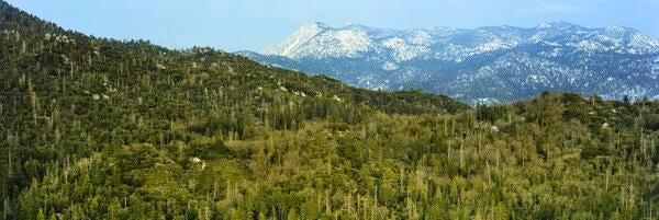 James Mount San Jacinto Reserve (c) Mark Chappell