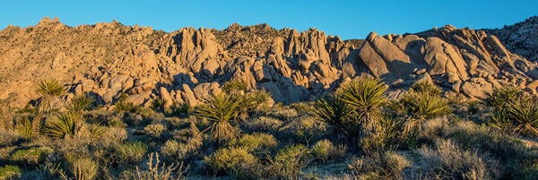c)ucr_mark_chappell_ucr_natural_reserves_granites_624px_0.jpg