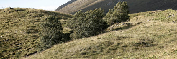 (c)ucr_unsplash_green_hills_624px.jpg 