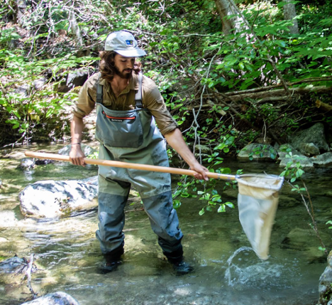 student sampling river with net