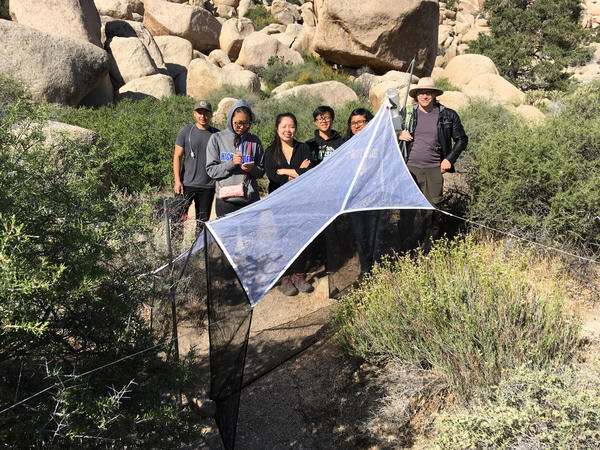 People with net outside with boulders and plants