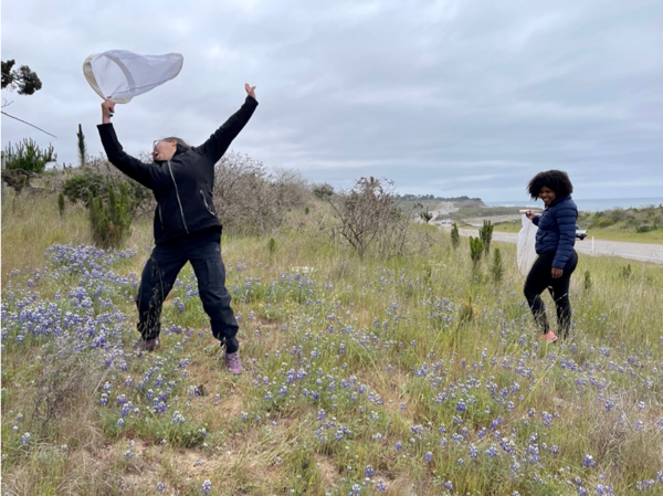 people with nets in flowers