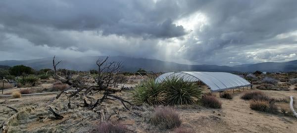 Rainy day in the desert over a plastic tent for experiments