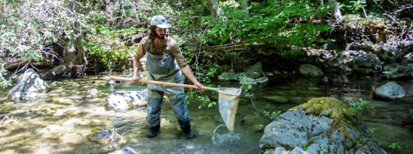 person standing in river with net