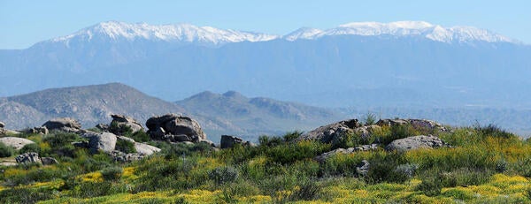 Motte RimrockUCR Natural Reserve (c) UCR / Stan Lim