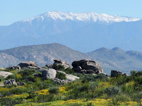 Motte Rimrock Reserve (c) UCR / Stan Lim