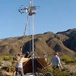 Flux tower 