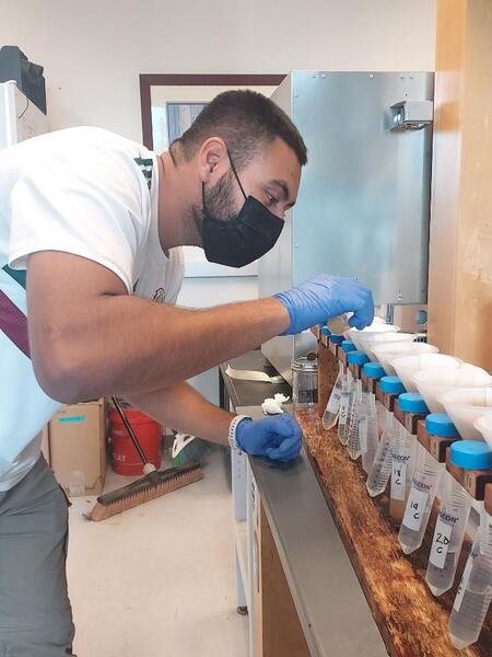 Man in laboratory wearing gloves and mask with tubes