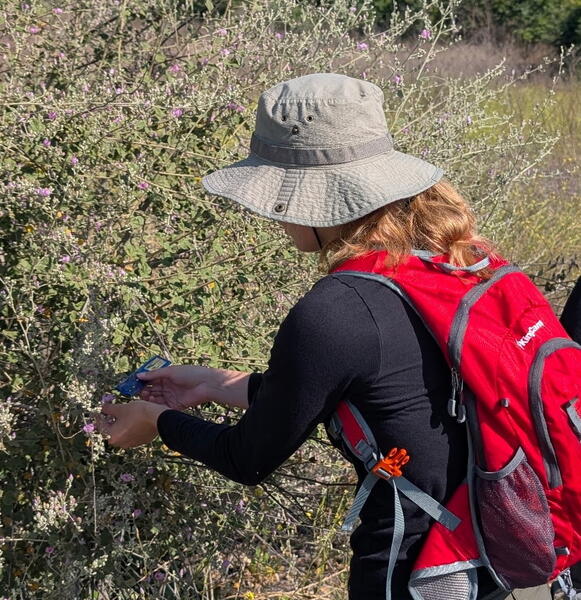 Intern conducting field research