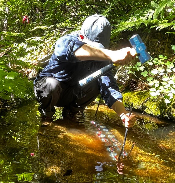 Intern working on stream algal growth
