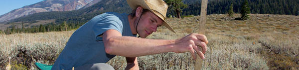 researcher at a reserve