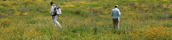 researchers in a meadow (c) UCR/CNAS