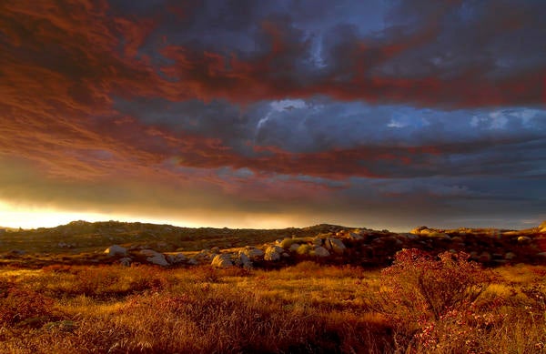 landscape rocks bushes at sunset wtih dark clouds