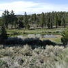 Pond at Juniper Flats