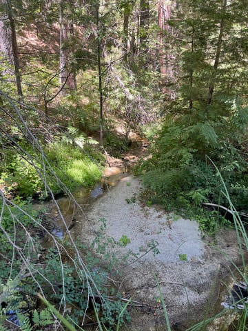 Stream in watershed