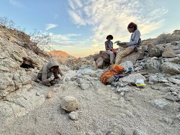 Interns with tortoise