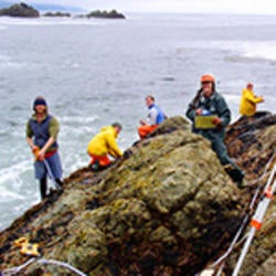 researchers on rocks at water's edge